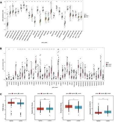 Prognosis analysis of necroptosis-related genes in colorectal cancer based on bioinformatic analysis